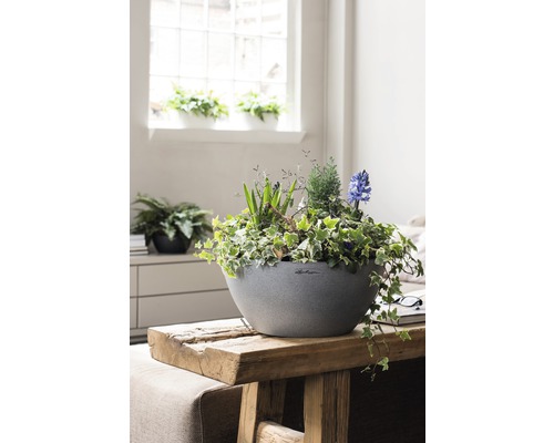 Decoratieve plantenbak met groene planten en bloeiende hyacinten op een houten tafel binnenshuis