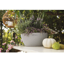 Beplante Lechuza plantenbak met herfstdecoratie