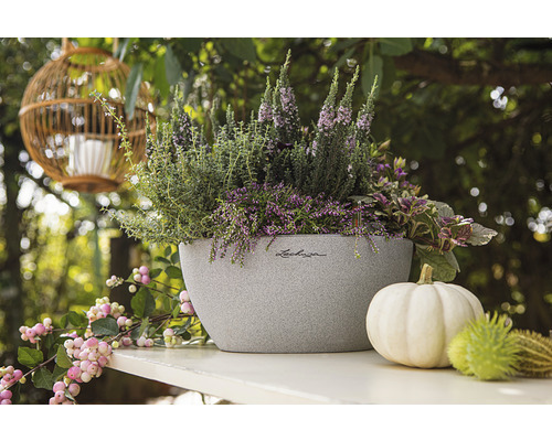 Beplante Lechuza plantenbak met herfstdecoratie