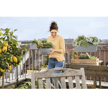 Vrouw met plantenbak op een balkon met kruiden, bloemen en citroenboom