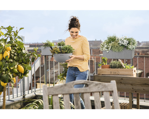 Vrouw met plantenbak op een balkon met kruiden, bloemen en citroenboom