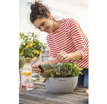 Vrouw plant kruiden in een plantenbak op een houten tafel