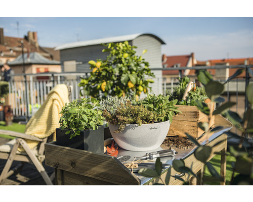 Scene met kruiden in plantenbakken op een tafel buiten