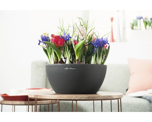 Decoratieve bloemenschaal met verschillende soorten bloemen op een tafel
