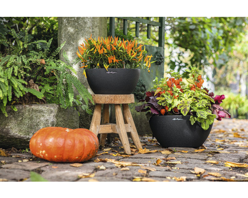 Scene met twee plantenbakken, beplant met herfstbloemen en een pompoen decoratie buiten