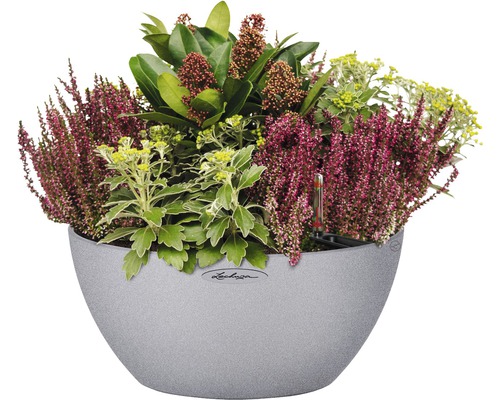 Beplante pot met heide en diverse planten