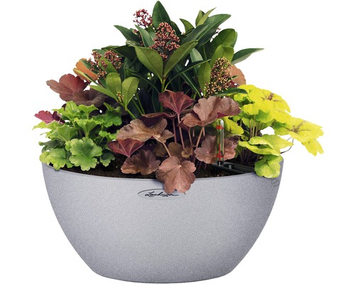Bloempot beplant met verschillende plantsoorten