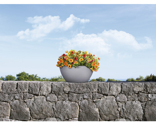 Bloempot met bloemen op een stenen muur