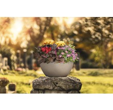 Bloempot met bloemen op een grafsteen