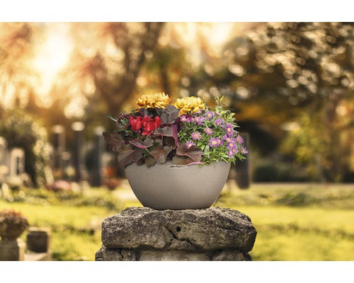 Bloempot met bloemen op een grafsteen
