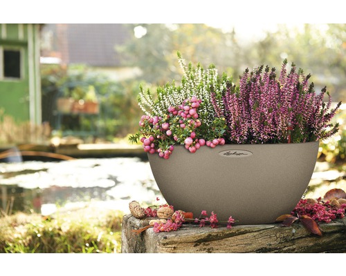 Beige plantenbak met heide en sneeuwbes buiten.