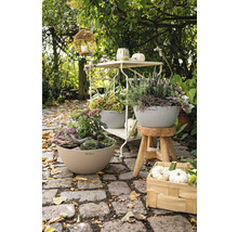 Tuinscene met beplante plantenbakken, decoraties en tuinmeubilair op een verhard pad