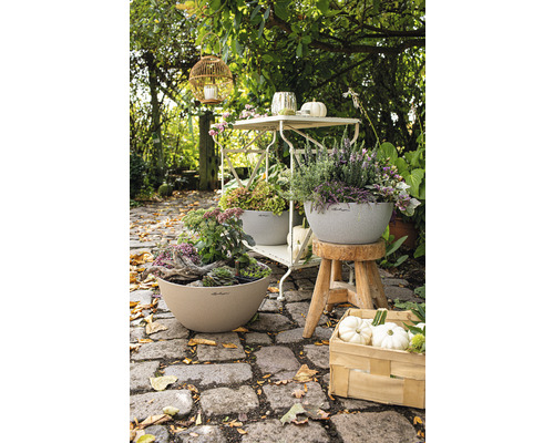 Tuinscene met beplante plantenbakken, decoraties en tuinmeubilair op een verhard pad