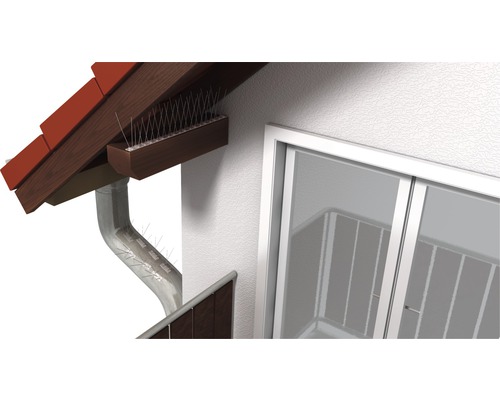 Scene met vogelwerende pinnen op dakgoot en dakrand