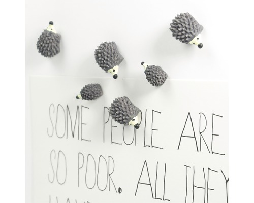 Diverse egelmagneten op een magnetisch bord