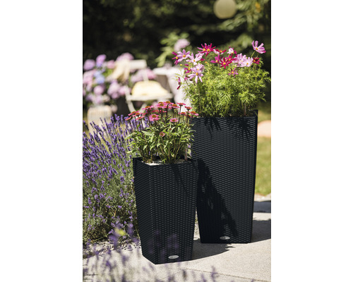 Twee plantenbakken met bloemen op een terras