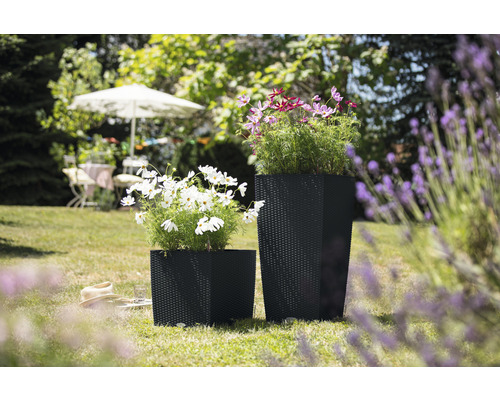 Twee zwarte plantenbakken met bloemen in de tuin