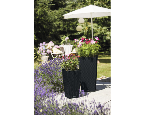 Twee plantenbakken met planten op een terras