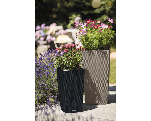 Twee kunststof plantenbakken met vlechtpatroon in de tuin.