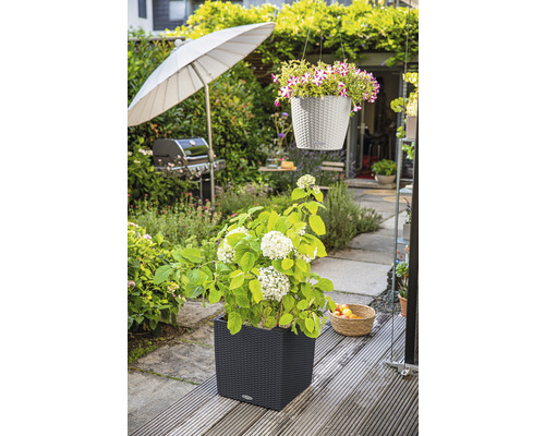Tuinscene met een hortensia in een plantenbak en een hangplant