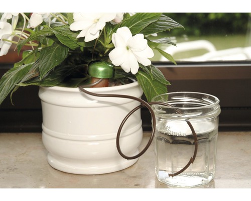 Bewateringssysteem voor planten met waterreservoir