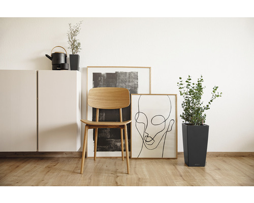 Scene met modern interieur: kast, stoel, planten en fotolijsten.