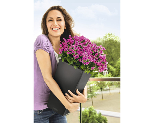 Vrouw houdt zwarte plantenbak met paarse bloemen op het balkon