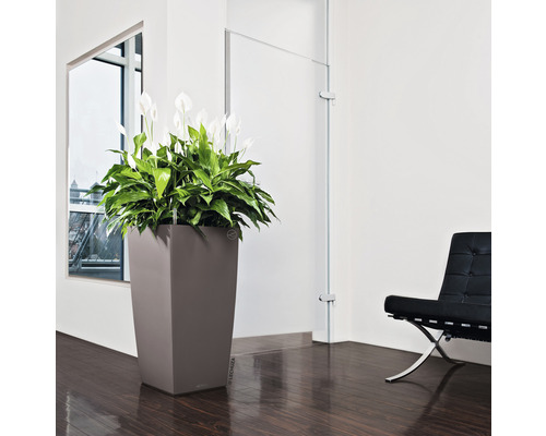 Interieur met hoge plant in plantenbak, stoel en raam