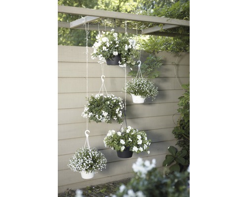Decoratieve hangmanden met witte bloemen, opgehangen aan een pergola in de tuin.