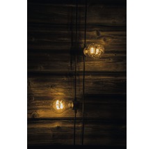 Twee Edison-lampen aan kabels voor een houten wand