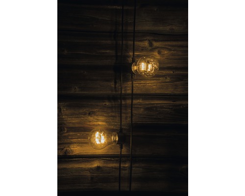 Twee Edison-lampen aan kabels voor een houten wand