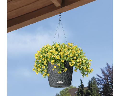 Hangmand met gele bloemen