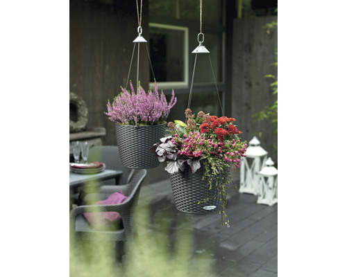 Twee beplante hangpotten met bloemen buitenshuis.