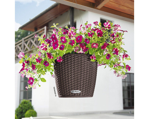 Hangende plantenbak met petunia''s voor een huis