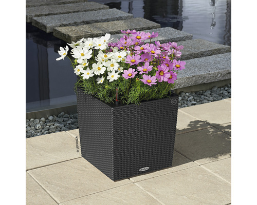 Bloemen in een vierkante plantenbak met irrigatiesysteem