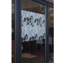 Raamfolie met plantenmotief ter decoratie en voor privacy