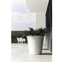 Hoge, witte plantenpot met plant op een terras.
