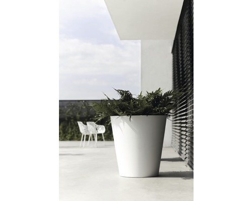 Hoge, witte plantenpot met plant op een terras.