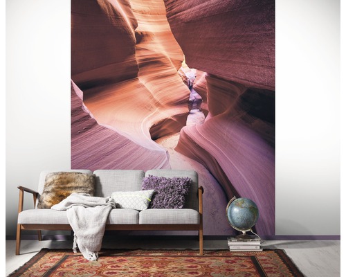 Wandafbeelding met canyonmotief achter een sofa