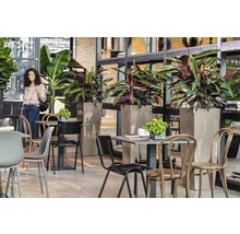 Interieur met tafels, stoelen en hoge plantenbakken met groen voor een aangename sfeer.