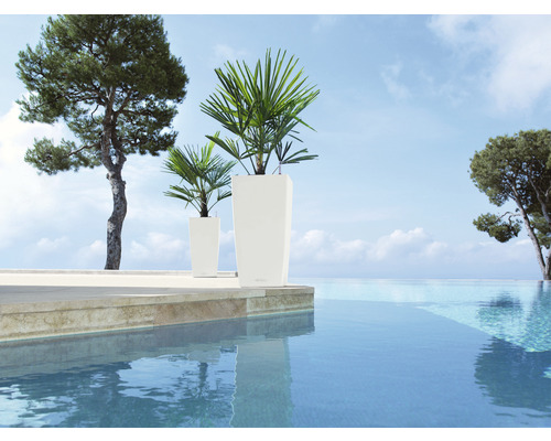 Twee slanke, hoge kunststof plantenbakken met planten naast een zwembad.