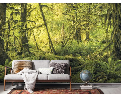 Fotobehang met bosmotief achter een bank