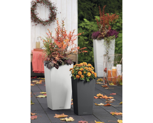 Scene met twee plantenbakken en herfstdecoratie buitenshuis