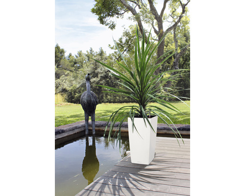 Hoge plant in plantenbak op houten terras naast een tuinvijver met een struisvogelsculptuur