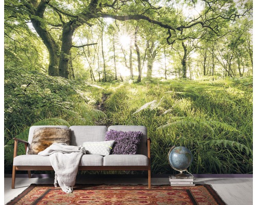 Woonkamer met een fotobehang waarop een bos met bomen en varens te zien is