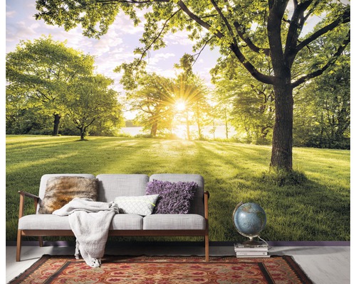 Fotobehang met een landschap van een park met bomen en gras