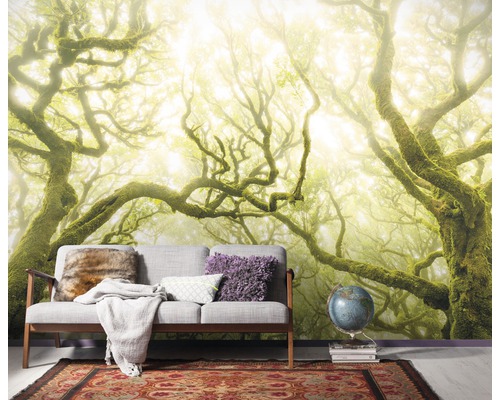 Fotobehang met een bosmotief achter een bank