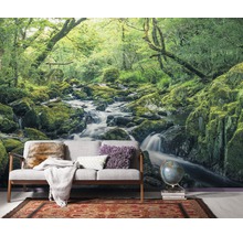 Fotobehang met boslandschap, rivier en mos op stenen in de woonkamer