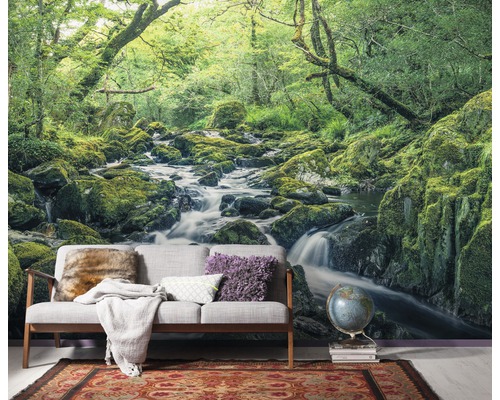 Fotobehang met boslandschap, rivier en mos op stenen in de woonkamer