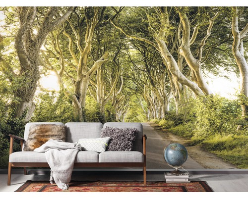Woonkamer met fotobehang met bomenlaan